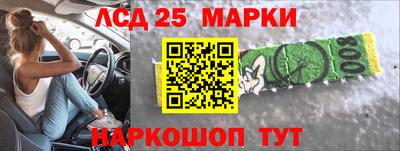 шишки Татарск