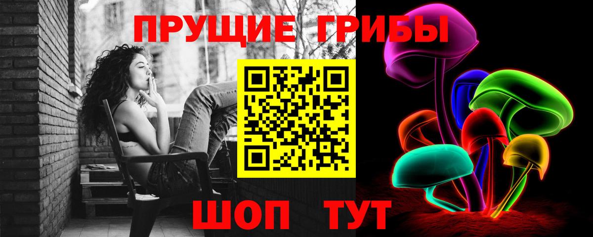 Псилоцибиновые грибы мицелий Новотроицк